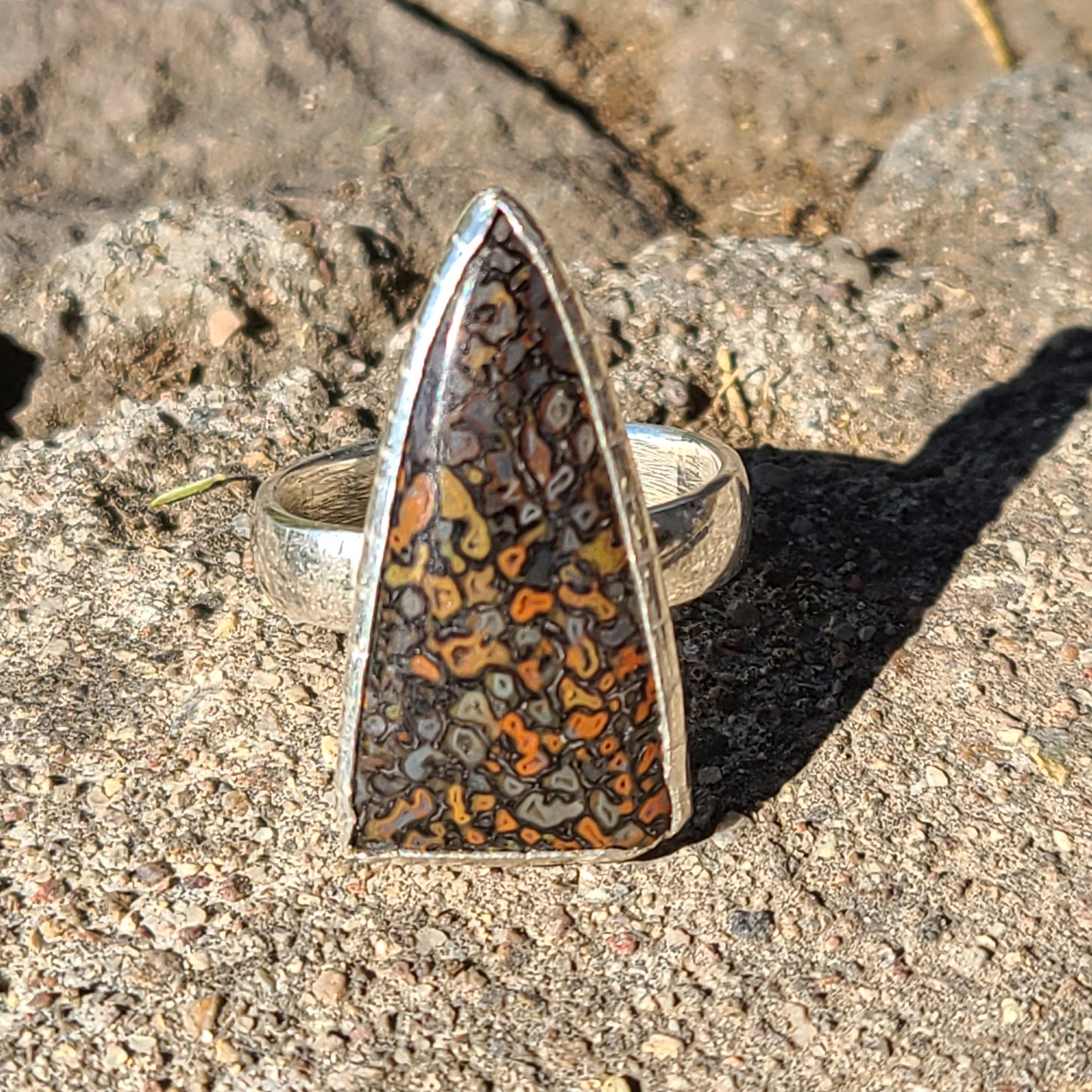 Fossil Dinosaur Bone Ring, Sterling Silver, Size 11.5