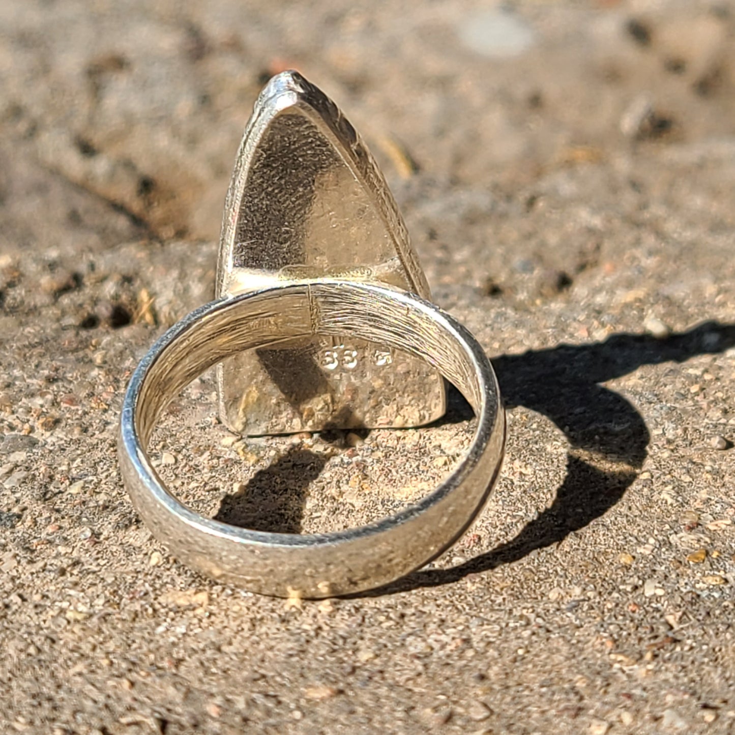 Fossil Dinosaur Bone Ring, Sterling Silver, Size 11.5