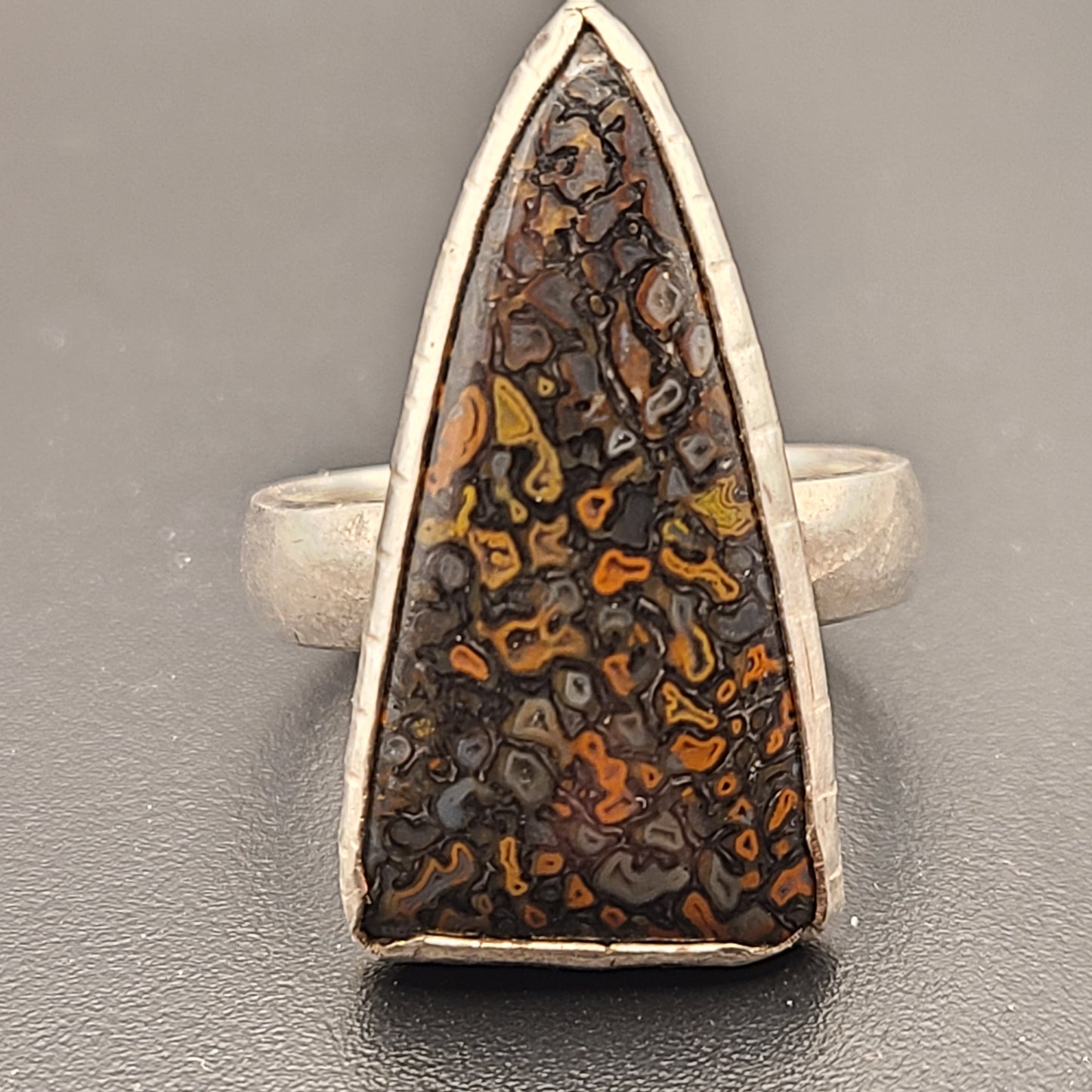 Fossil Dinosaur Bone Ring, Sterling Silver, Size 11.5