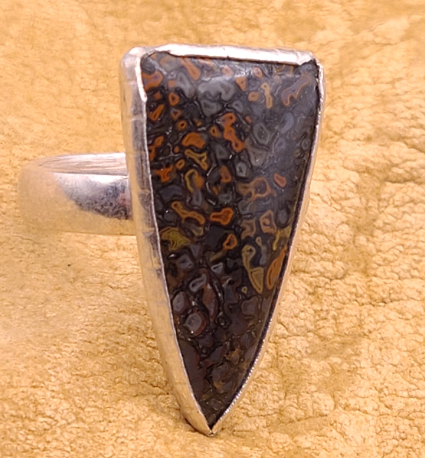 Fossil Dinosaur Bone Ring, Sterling Silver, Size 11.5