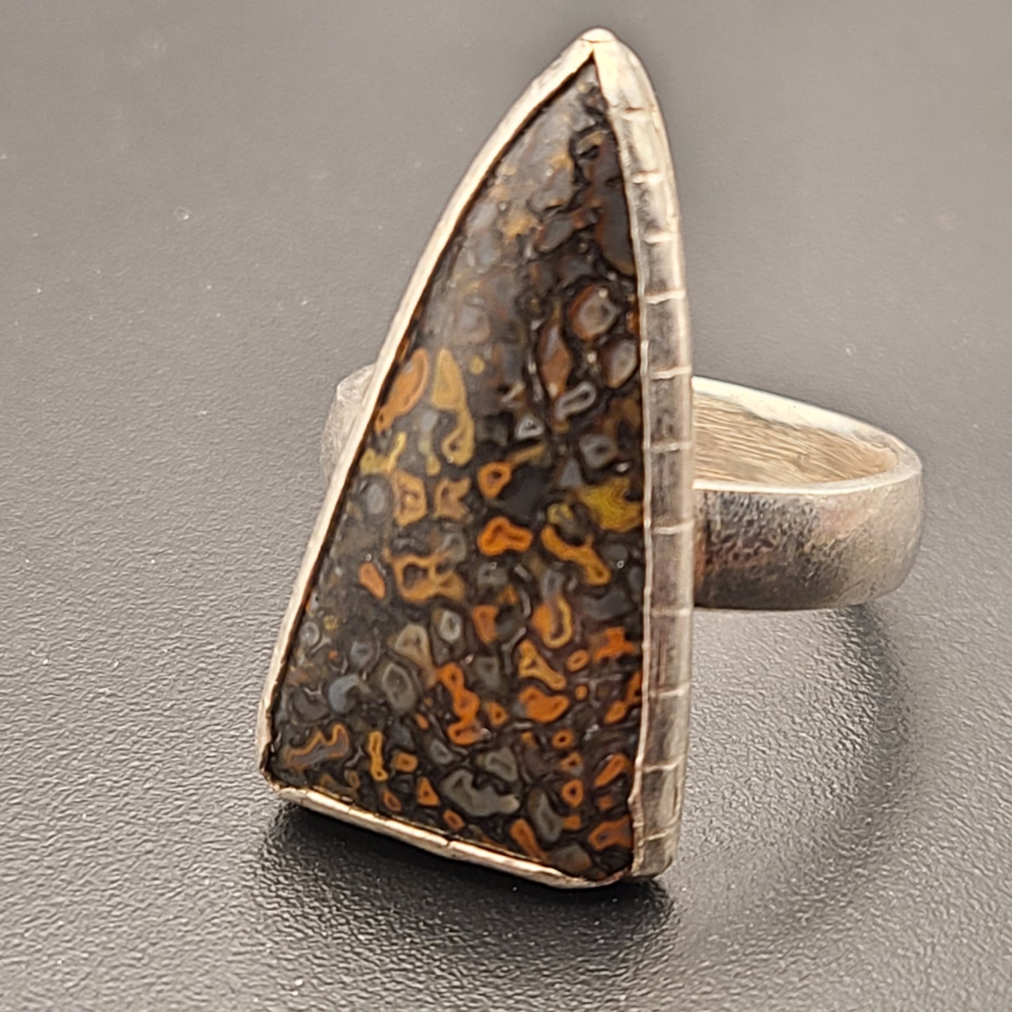 Fossil Dinosaur Bone Ring, Sterling Silver, Size 11.5